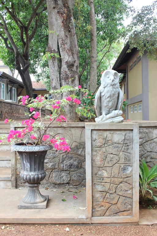 Lake Lodge Boutique Hotel Dambulla Exterior foto