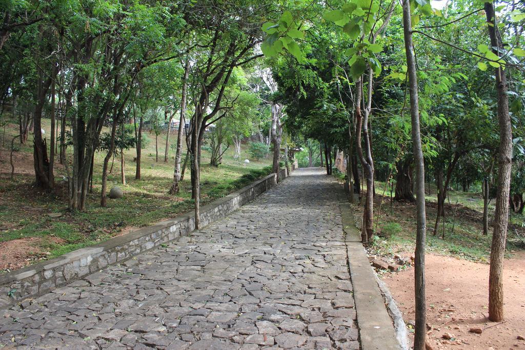 Lake Lodge Boutique Hotel Dambulla Exterior foto